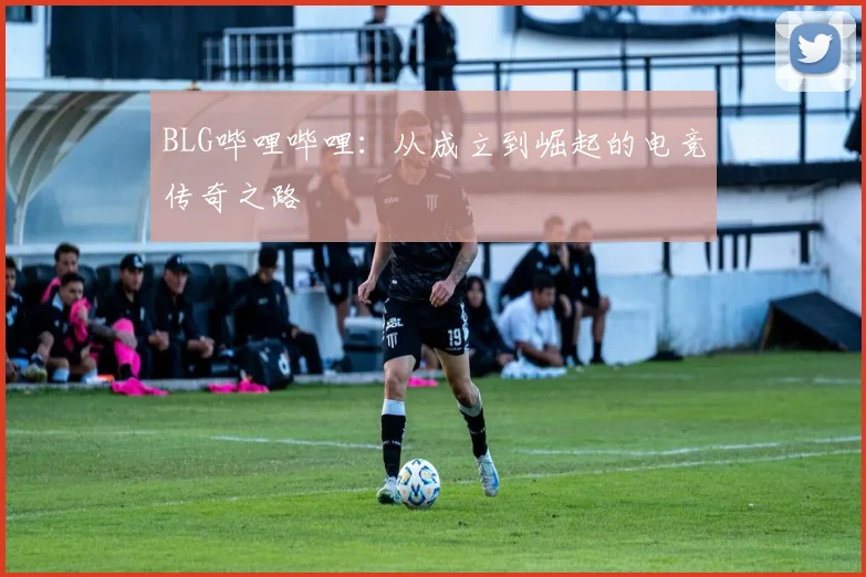 BLG哔哩哔哩：从成立到崛起的电竞传奇之路