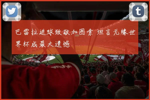 巴雷拉进球致敬加图索 坦言无缘世界杯成最大遗憾