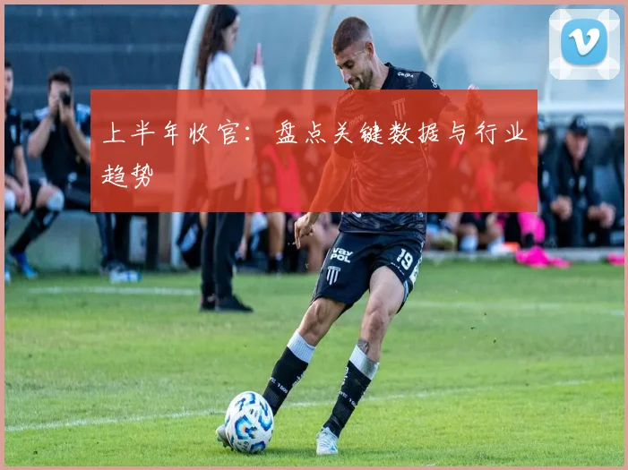 上半年收官：盘点关键数据与行业趋势