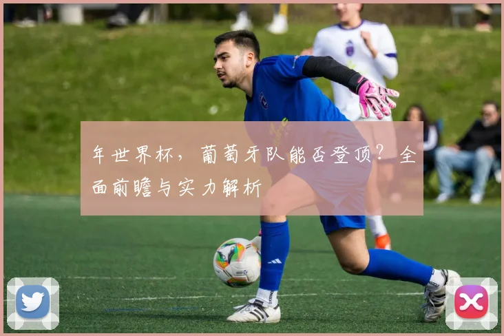 年世界杯，葡萄牙队能否登顶？全面前瞻与实力解析