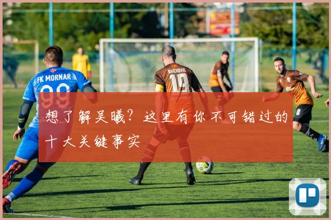 想了解吴曦？这里有你不可错过的十大关键事实